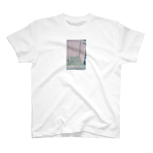 Nostalgic Regular Fit T-Shirt