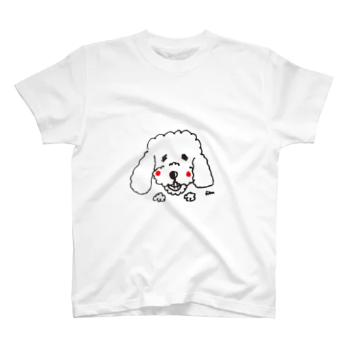 はにかむぷーどる スタンダードTシャツ