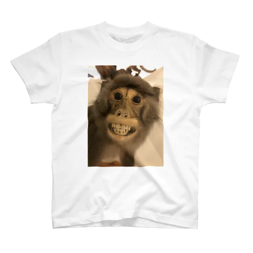 台湾で見ためちゃくちゃ怖い猿の剥製 スタンダードTシャツ
