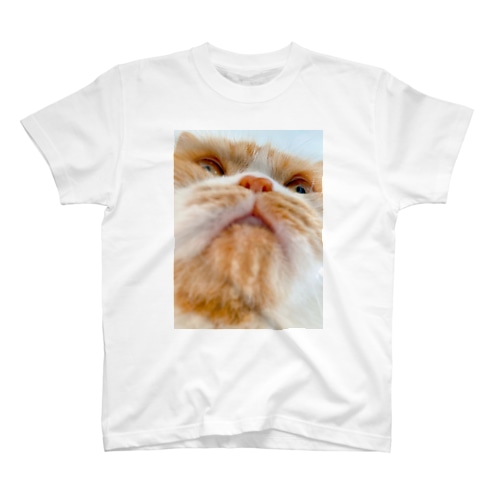 ドカン Regular Fit T-Shirt