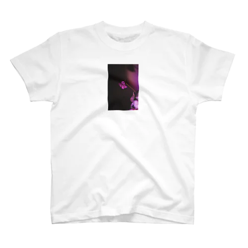 violet スタンダードTシャツ