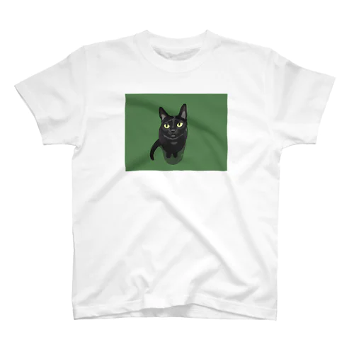 BLACK スタンダードTシャツ