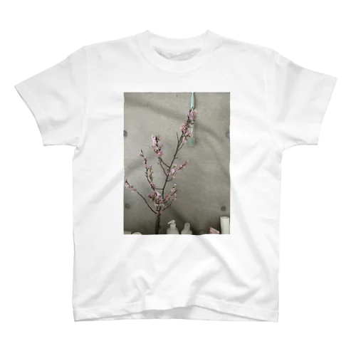 あの日の桜 Regular Fit T-Shirt