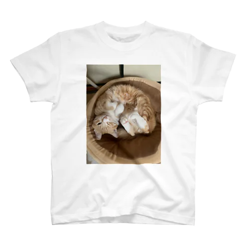 茶白猫の仙豆くん。 スタンダードTシャツ
