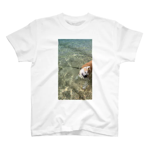 海と秋田犬 Regular Fit T-Shirt