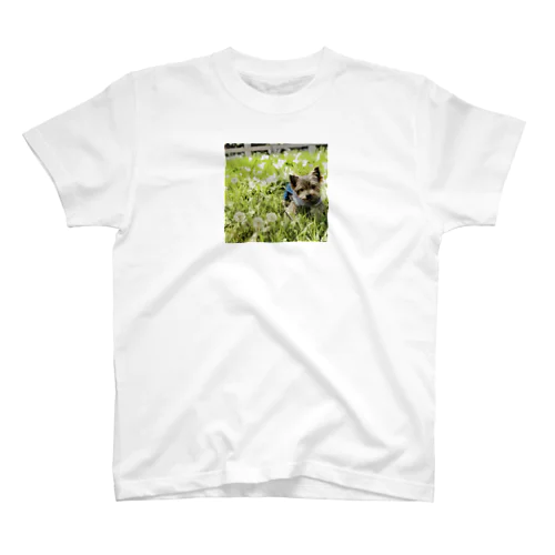 Dandelion Ume Regular Fit T-Shirt