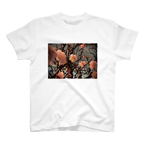 BONSAI Regular Fit T-Shirt