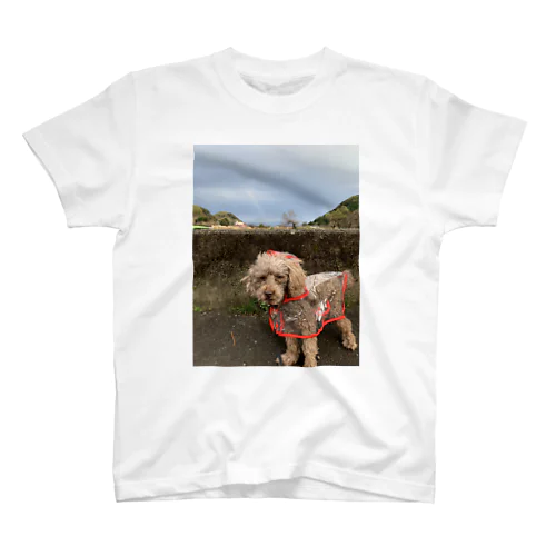 不機嫌な犬 スタンダードTシャツ