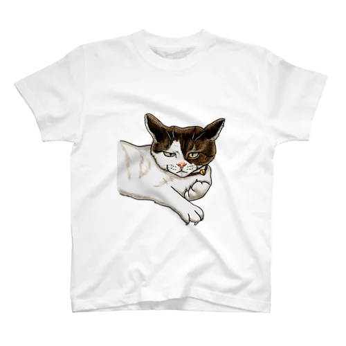 猫相の悪い猫がこちらをみている Regular Fit T-Shirt