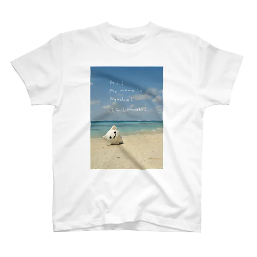 海のやーつ スタンダードTシャツ