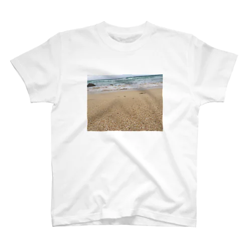 surf Regular Fit T-Shirt