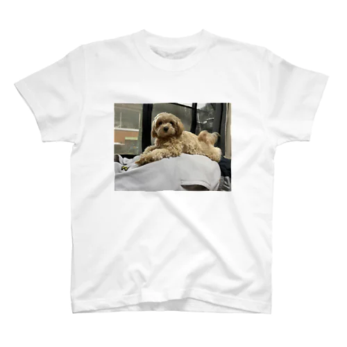 犬のくつろぎ Regular Fit T-Shirt