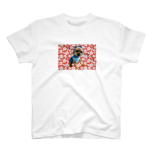 Aloha Ume スタンダードTシャツ