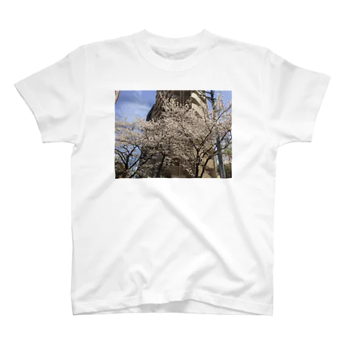 桜の或る風景 スタンダードTシャツ