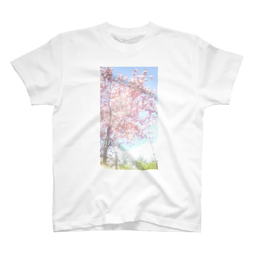 MANKAI Regular Fit T-Shirt