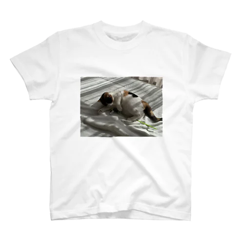 My cat T Regular Fit T-Shirt