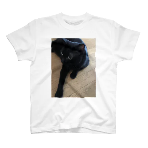 黒猫 Regular Fit T-Shirt