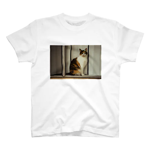 猫のフォト Regular Fit T-Shirt