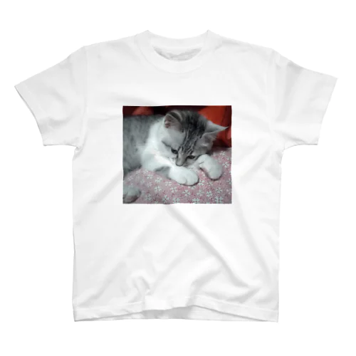 そろそろおねむかな？ 猫の音羽ちゃん スタンダードTシャツ