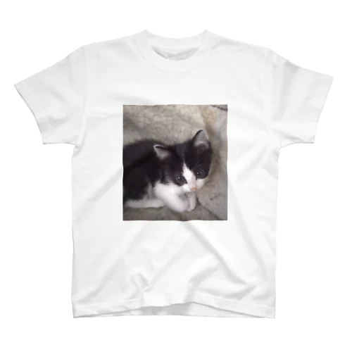 おすまし猫 テールくん Regular Fit T-Shirt