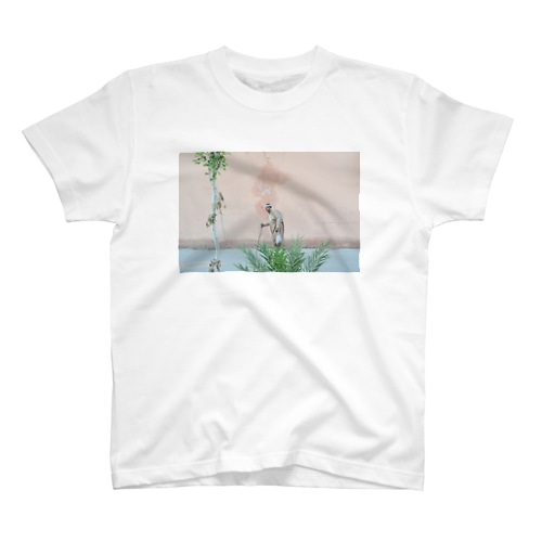 a man Regular Fit T-Shirt