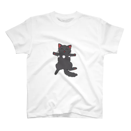 ねこはみんなねこ スタンダードTシャツ