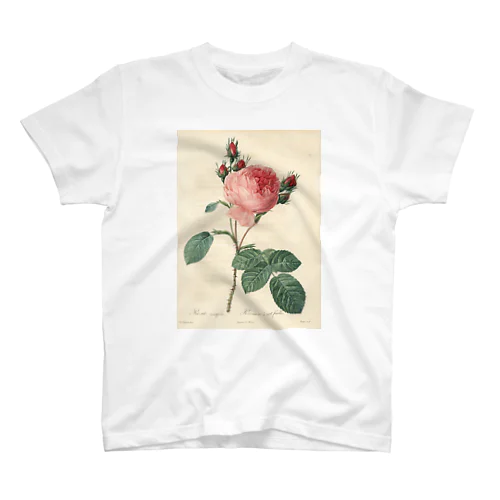 ルドゥーテ「バラ図譜」 티셔츠