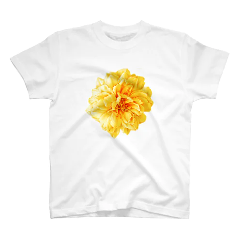 花@Yellow Rose Regular Fit T-Shirt