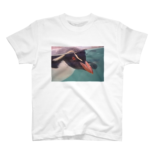 見つめるキタイワトビペンギン Regular Fit T-Shirt