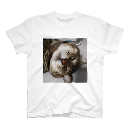 おでぶ猫こころくん Regular Fit T-Shirt