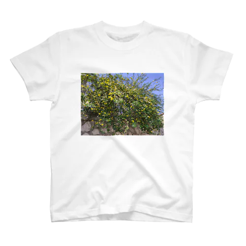 Fleurs de Marseille スタンダードTシャツ