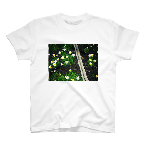 道端の草 スタンダードTシャツ