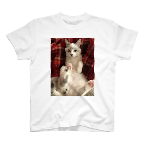 へべねこ Regular Fit T-Shirt