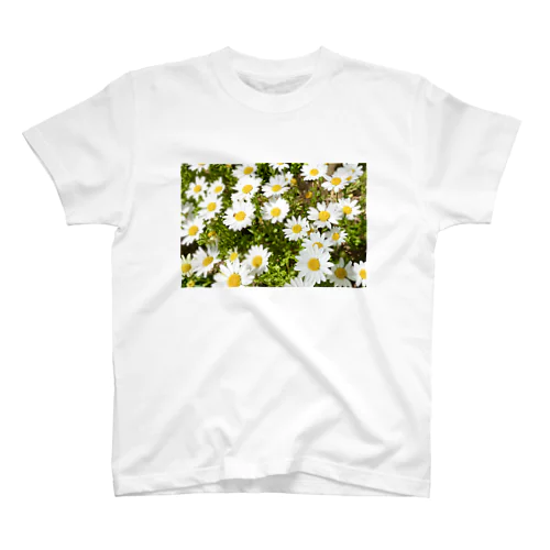 spring スタンダードTシャツ