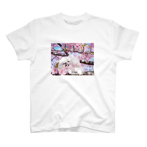 春のちめこちゃん Regular Fit T-Shirt