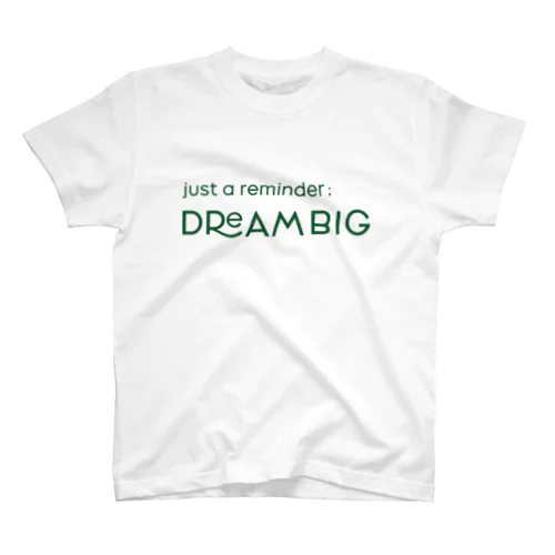 DREAM BIG スタンダードTシャツ