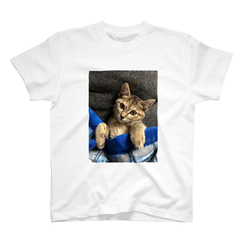 うちの猫 Regular Fit T-Shirt