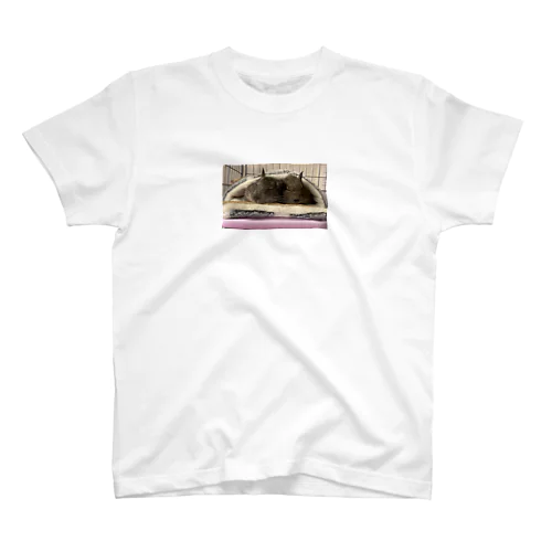 仲良しデグー Regular Fit T-Shirt