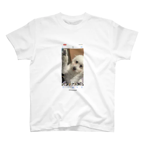 愛犬コロちゃん　喜びの舞ver. スタンダードTシャツ