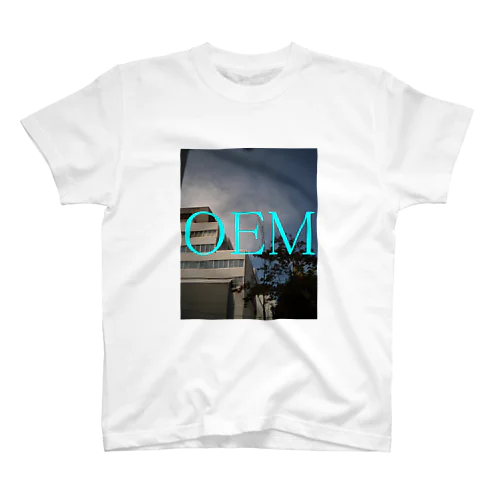 OEM Regular Fit T-Shirt