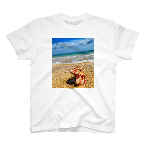 OKINAWA 貝Tシャツ 티셔츠