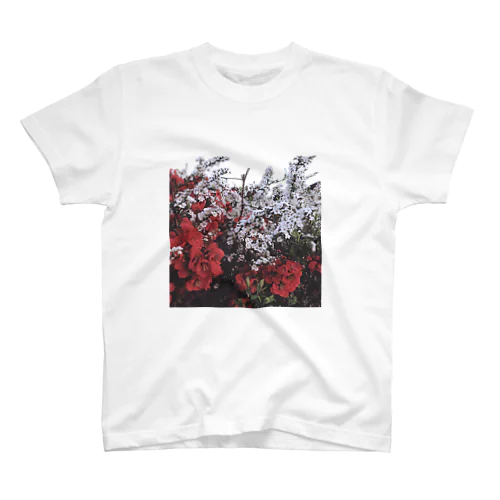 雪柳と紅梅と空 Regular Fit T-Shirt