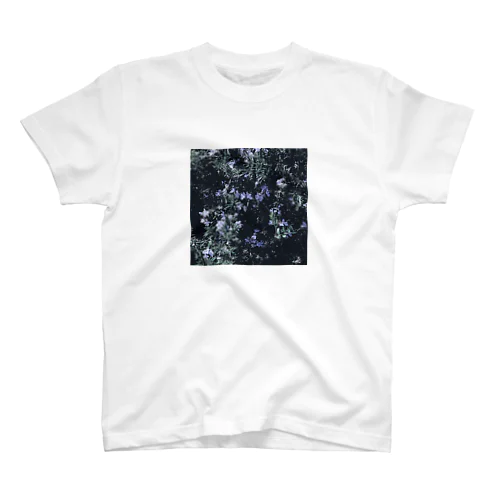 ローズマリーの花 スタンダードTシャツ