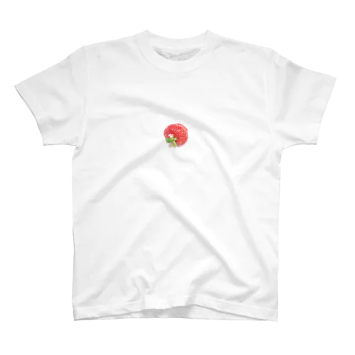 いちご🍓の花びら スタンダードTシャツ