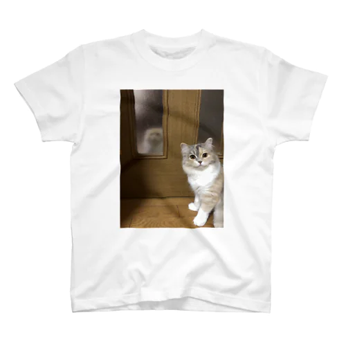 チヂミとキンパ Regular Fit T-Shirt