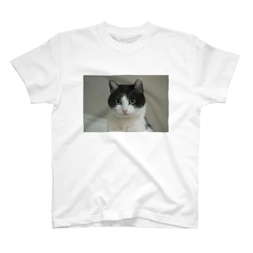 はちわれ猫🙀さぶ スタンダードTシャツ