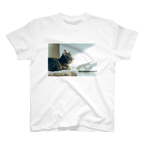 まどろみしましま猫バージョン2 スタンダードTシャツ