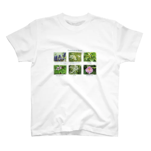 Essential oil flower　 Regular Fit T-Shirt