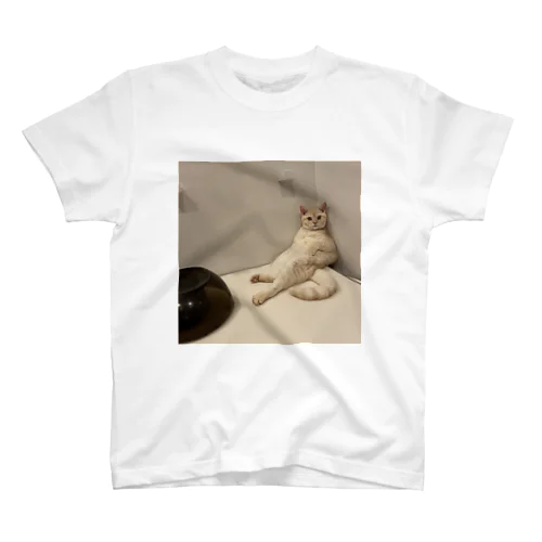 くつろぎ猫 スタンダードTシャツ