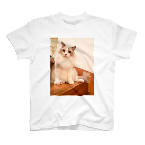 猫のスズリくん Regular Fit T-Shirt